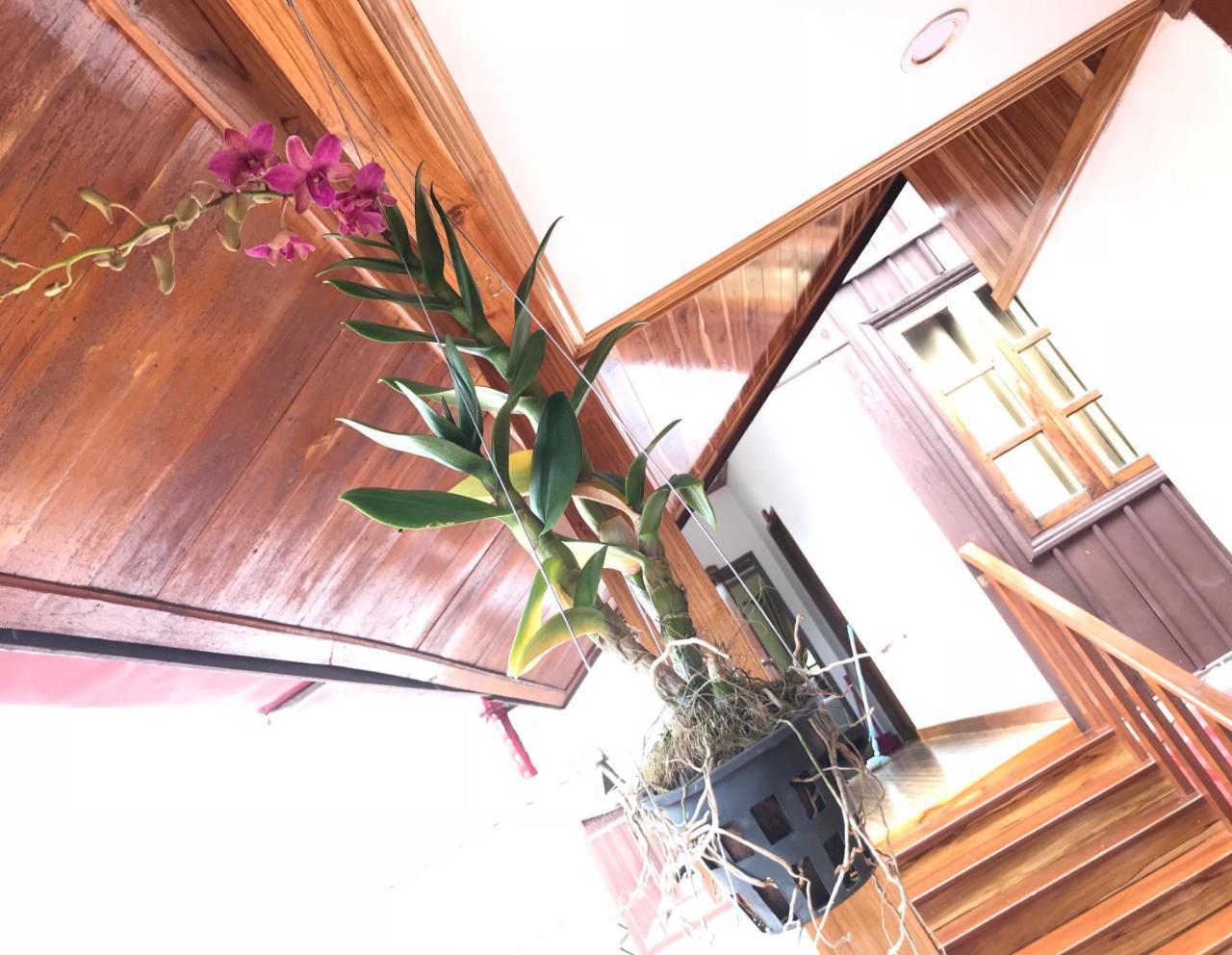 Luang Prabang Xayana Hotel מראה חיצוני תמונה